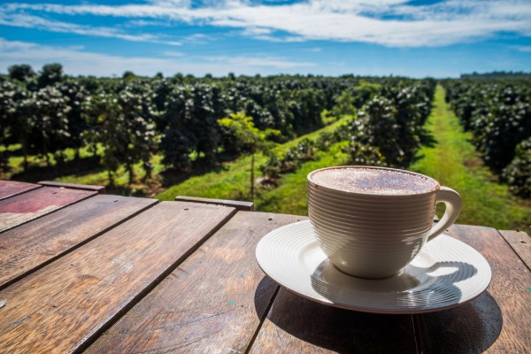 Café du Laos