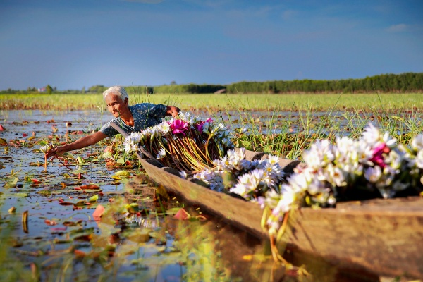 Découverte du Vietnam en saison des fleurs