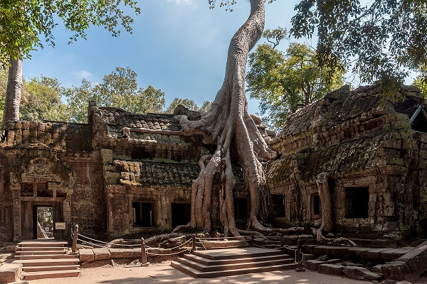 Ta Prohm, un temple à l'état naturel d'Angkor