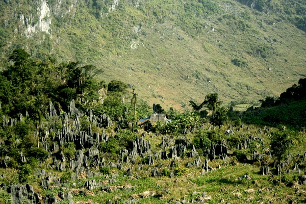 Top 7 des marchés à ne pas manquer à Ha Giang