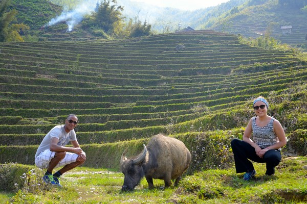 Tout savoir sur les rizières du Vietnam : Où et quand aller ?