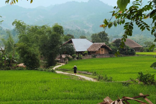 08 logements chez l'habitant à Ha Giang