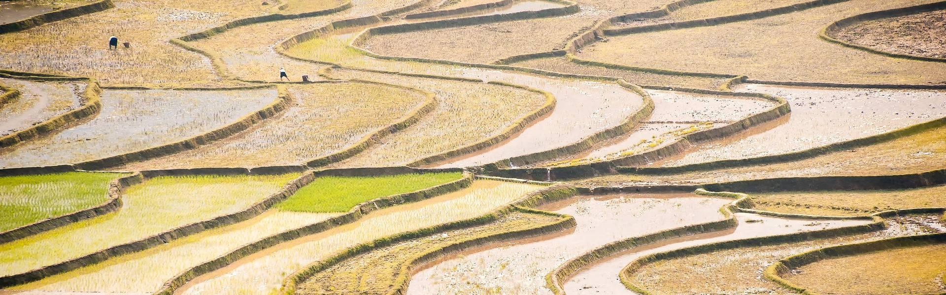 Mu Cang Chai : Guide complet des plus belles rizières en terrasse du Vietnam