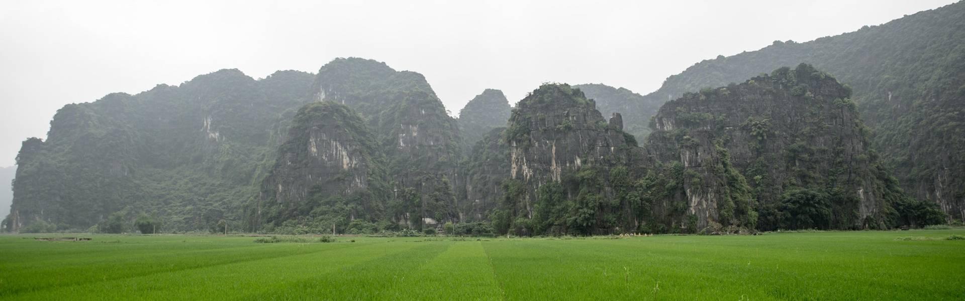 Ninh Binh : Que faire et voir à la baie d'Halong terrestre ?