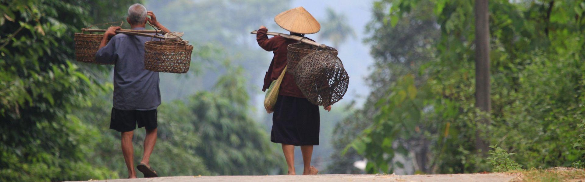 Ha Giang : Guide de voyage complet du Nord-Est Vietnam