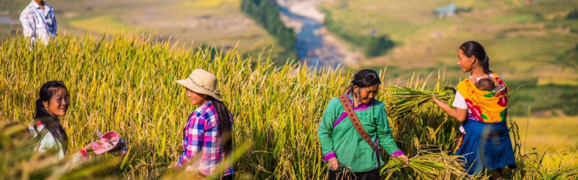 Sapa : Guide complet pour bien préparer son voyage