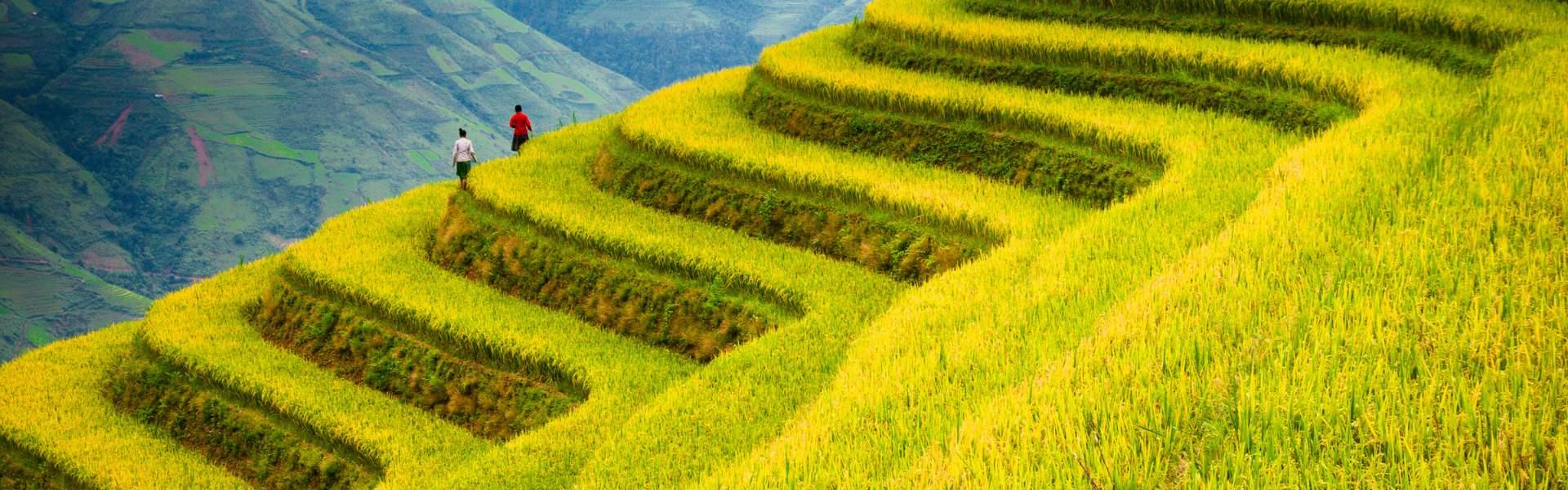 10 meilleures agences de voyage locale au Vietnam à recommander