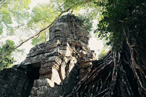 Jour 03 : Siem Reap - Banteay Srei - Ta Prohm - Pre Rup