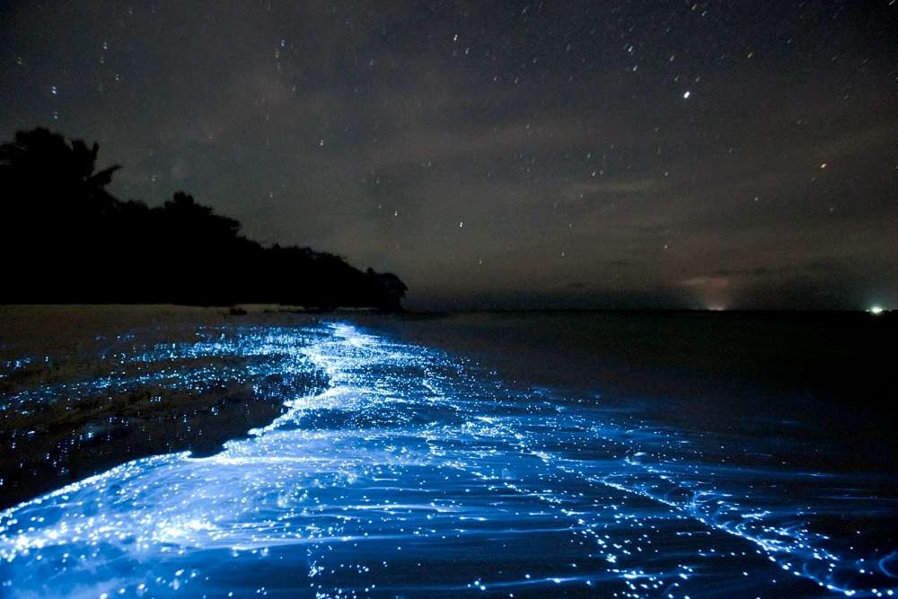 Observer le Fascinant Plancton Luminescent, Koh Rong au Cambodge