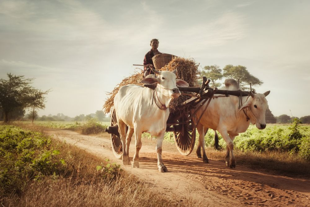 Conseils pour un voyage de rêve à Bagan, comment déplacer bagan