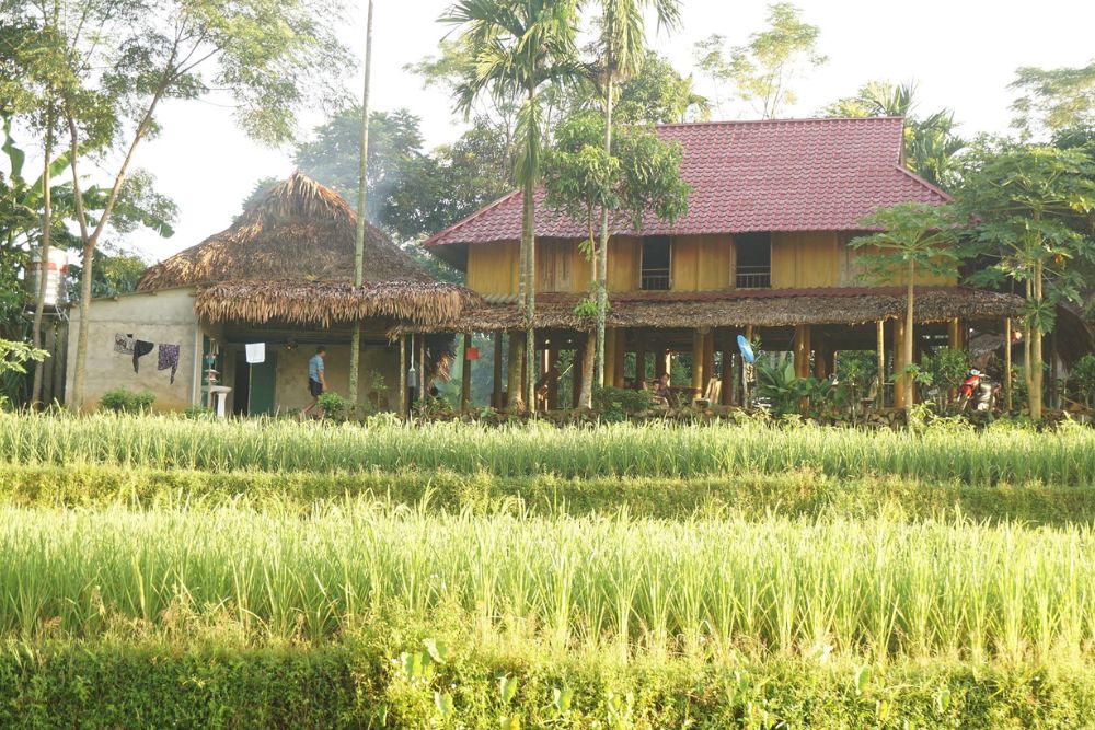 Top 08 logements chez l'habitant et lodge à Pù Luông, chez hoanh