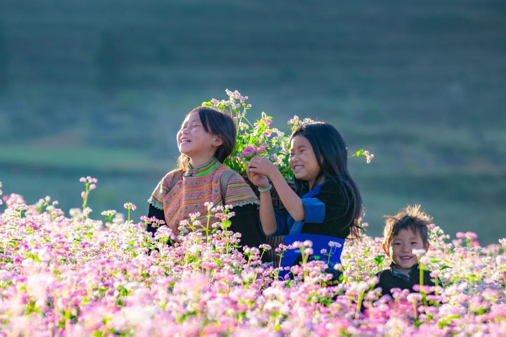 sourires des enfants ethniques au milieu d'un champ de fleurs de sarrasin roses à Ha Giang