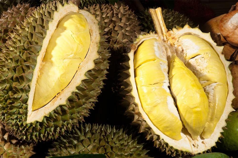 durian, fruit vietnam, fruit vietnamien