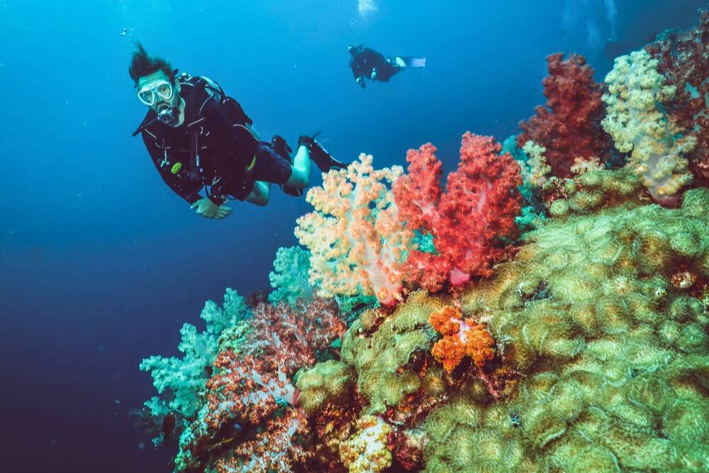 plongeurs à côté d'un récif corallien coloré à Koh Lanta