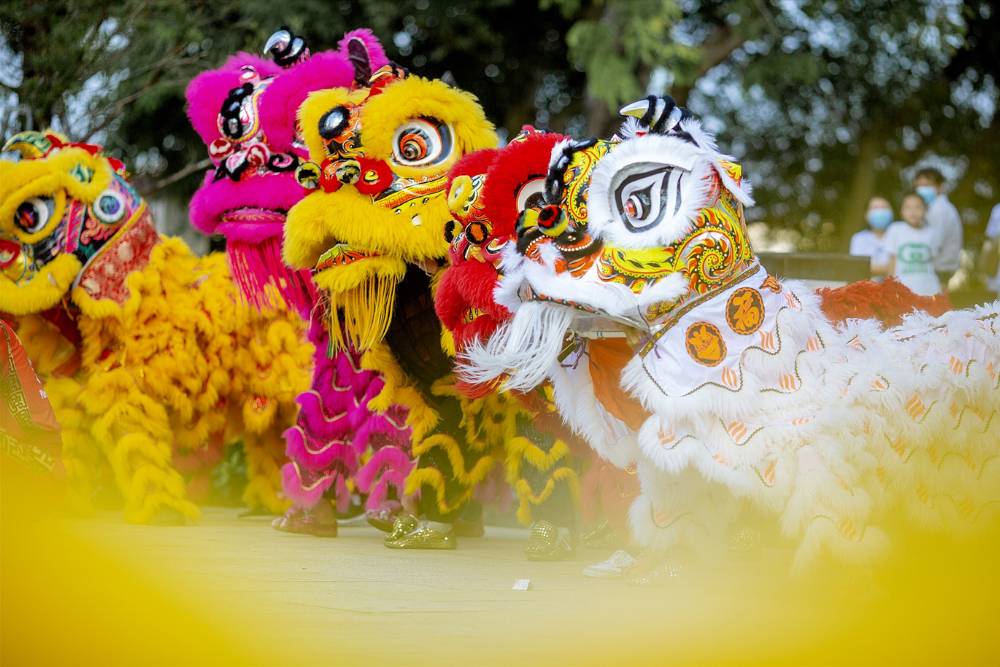 danse des lions de différentes couleurs