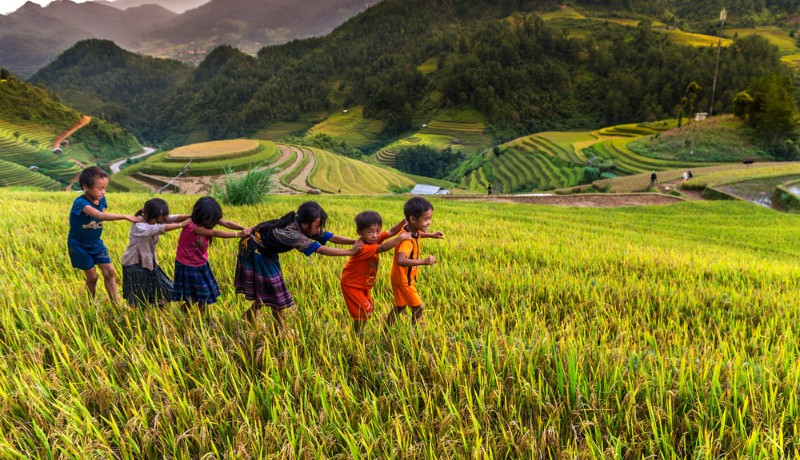 des enfants Hmong jouant dans les rizières en terrasse à Mu Cang Chai, Vietnam