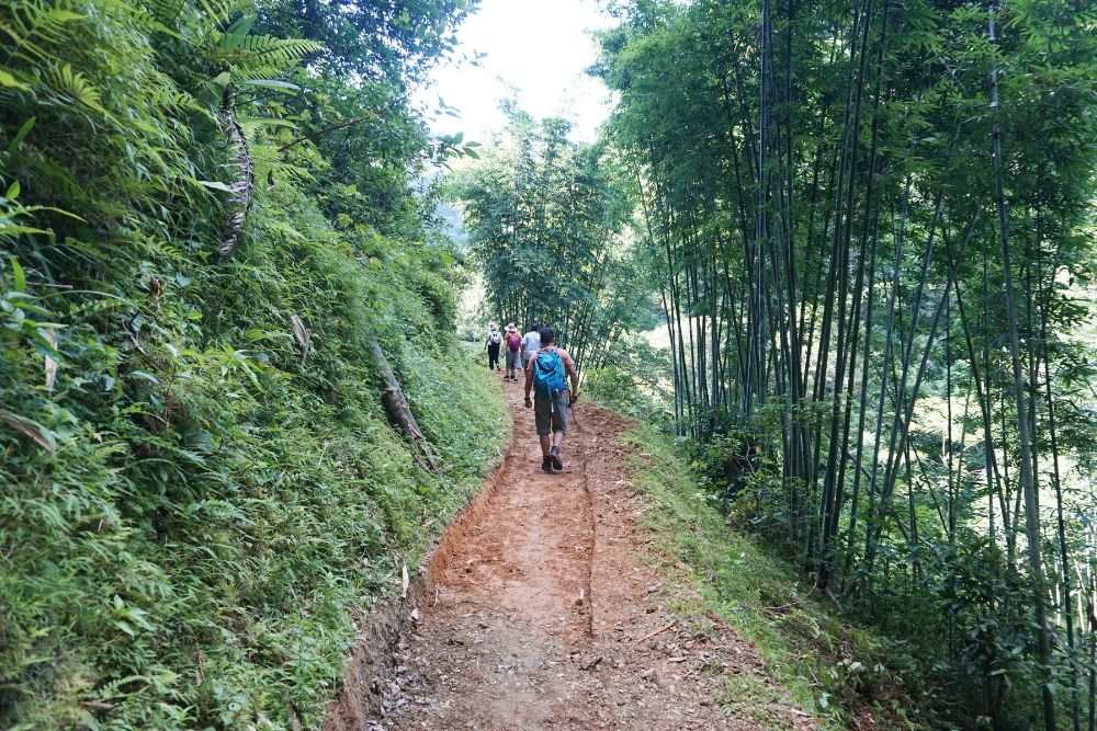 pu bin, guide voyage pu bin, randonnee dans la foret de bambou