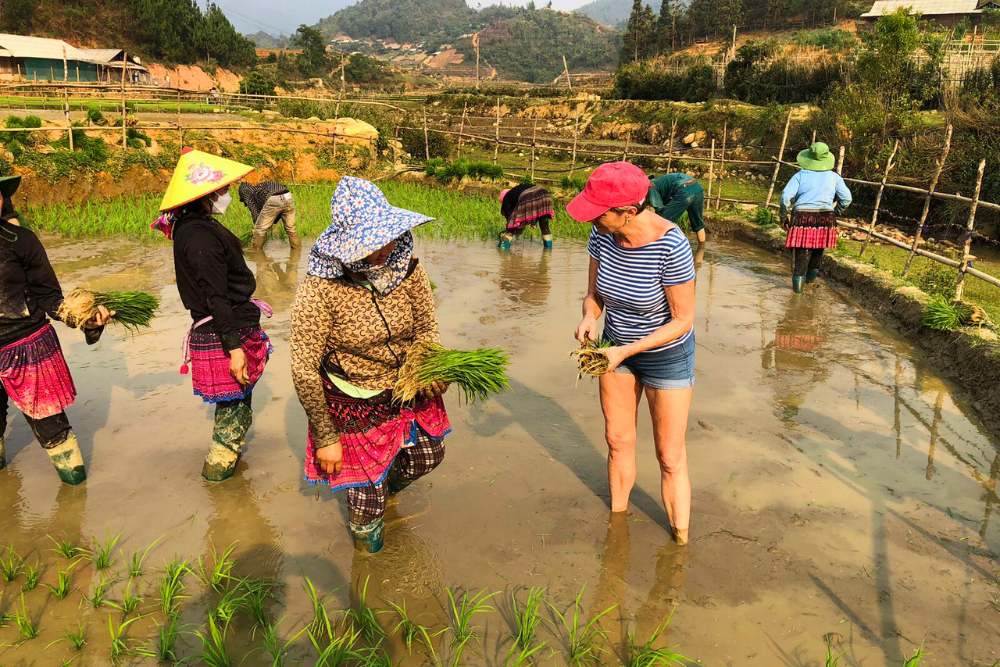 voyageuse participant à la plantation du riz avec des femmes locales