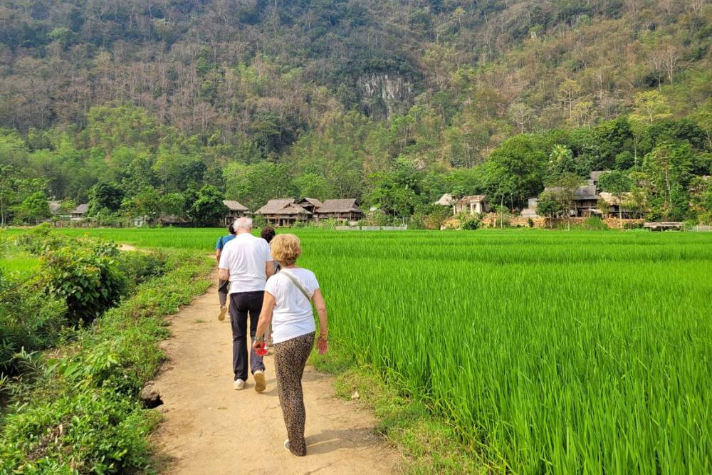 voyageurs faisant de la randonnée au milieu des paysages verdoyants dans le Nord du Vietnam