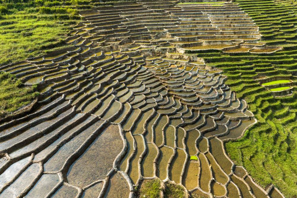 rizières en terrasse dans les Hauts Plateaux du Centre pendant la saison d'eau