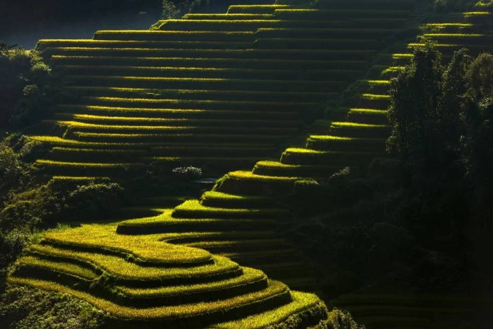 hautes rizières en terrasse à Hoang Su Phi, Vietnam