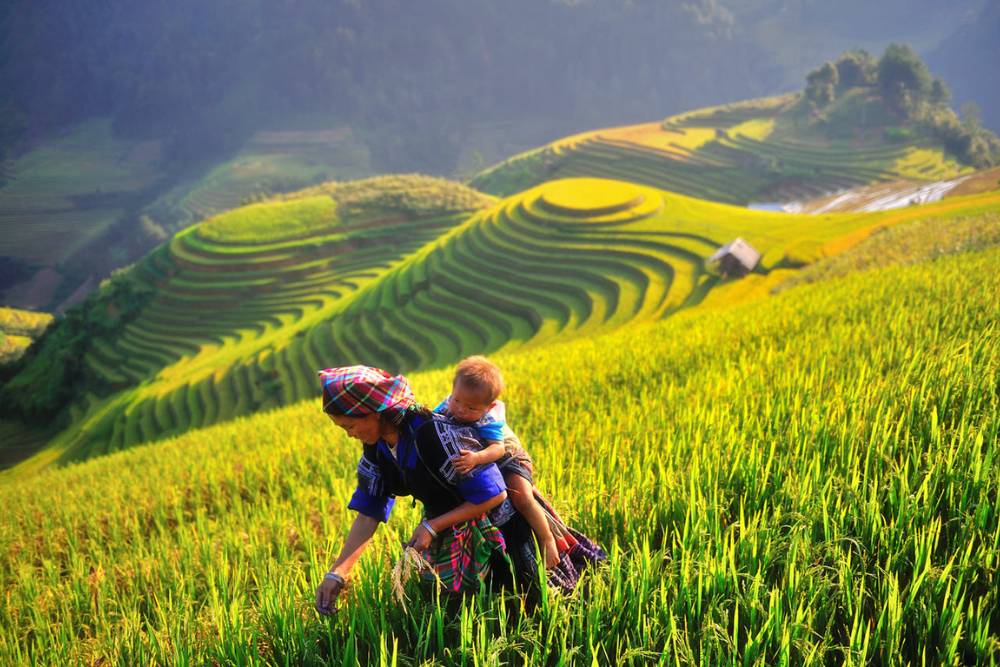 une femme Hmong et son enfant devant la colline Mam Xoi, les plus belles rizières en terrasse à Mu Cang Chai