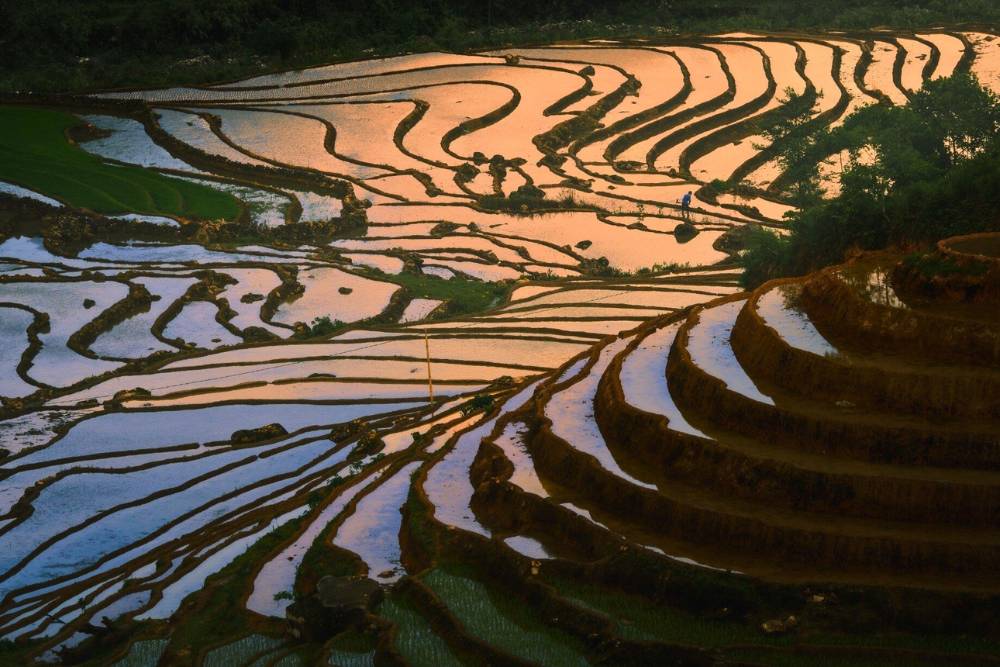 rizières en terrasse à Sapa remplies d'eau pendant la saison des pluies