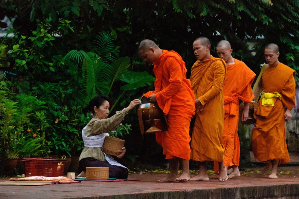 tak bat, cérémonie de l'aumône, femme faisant l'aumône au moines, luang prabang, laos